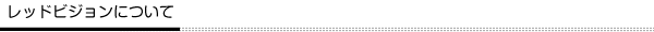 レッドビジョンについて